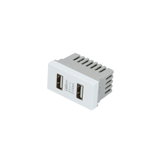 Paquete de 20 piezas de Módulo USB doble 1/3, línea Premium, color blanco Surtek